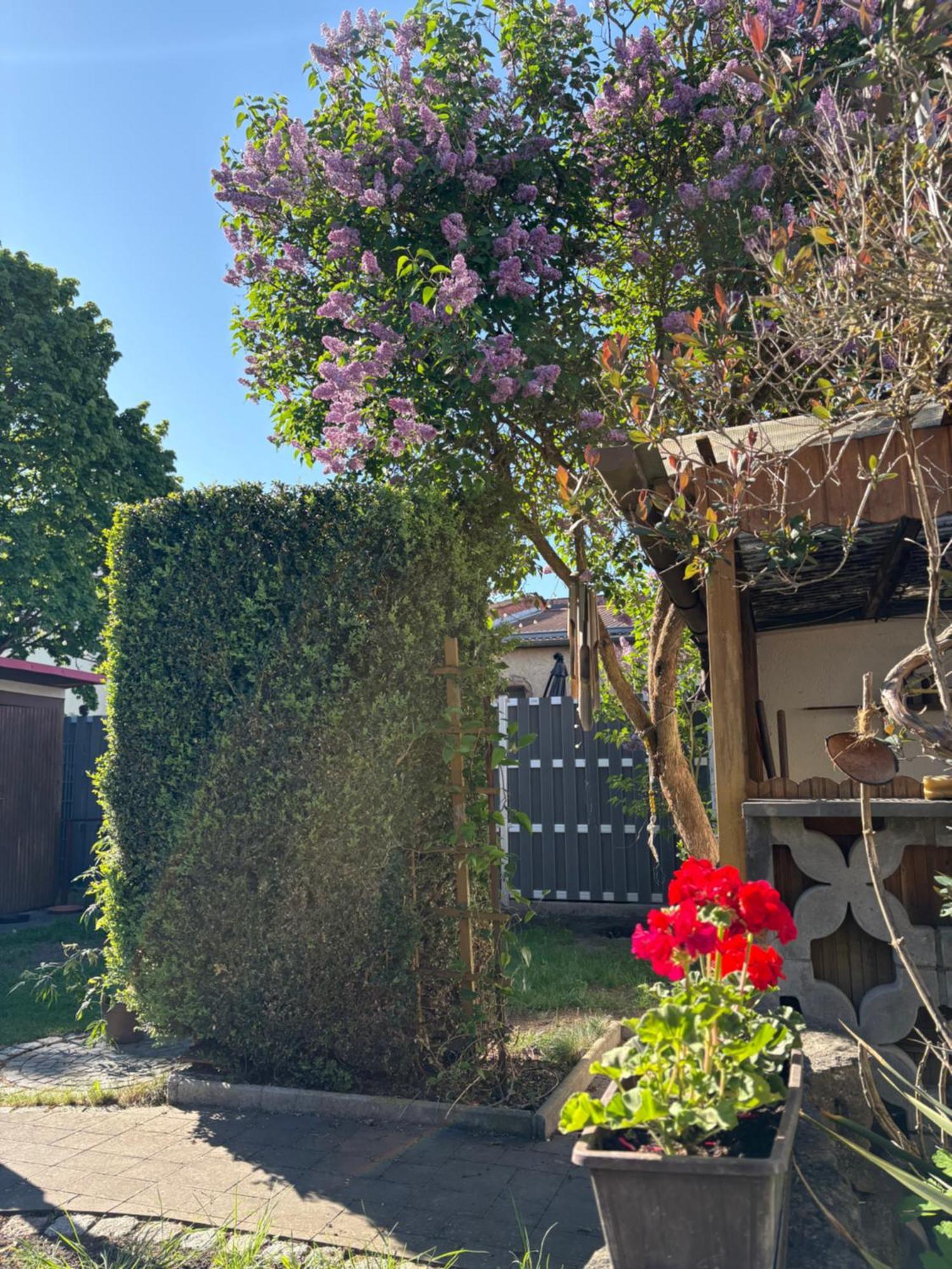 Haus Hannah Meiningen Exterior foto